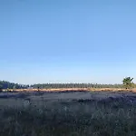 5 Person In Hovborg-by Traum Сasa de vacaciones *