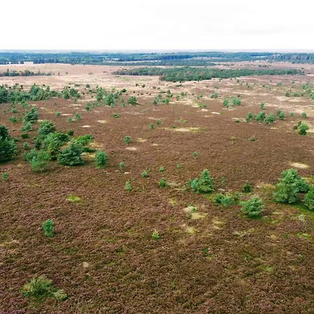 בית נופש 5 Person In Hovborg-by Traum *