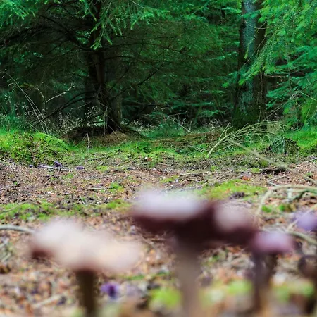 5 Person In Hovborg-by Traum הובבורג