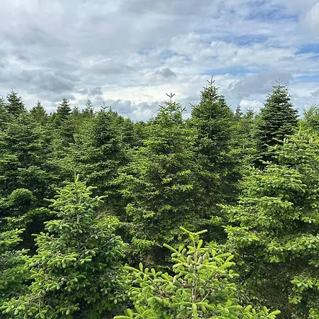 5 Person In Hovborg-by Traum