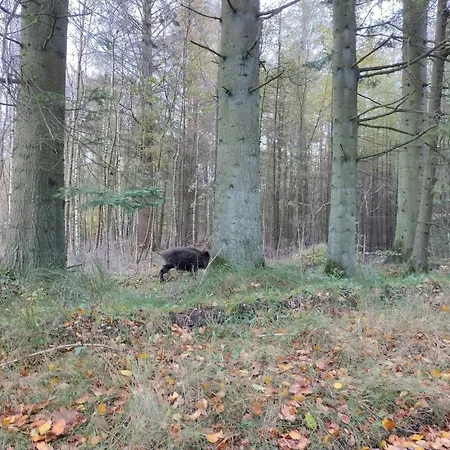 5 Person In Hovborg-by Traum בית נופש הובבורג