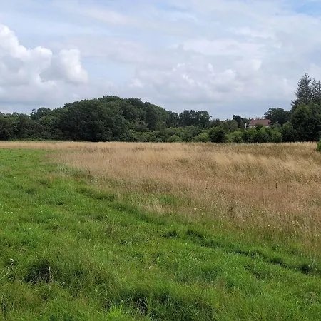 בית נופש 5 Person In Hovborg-by Traum הובבורג