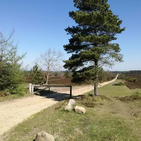 5 Person In Hovborg-by Traum הובבורג