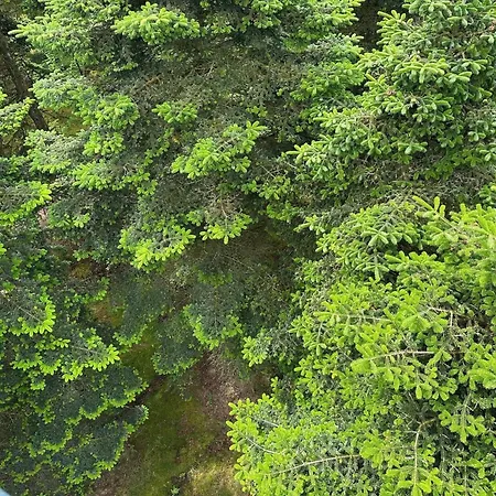 5 Person In Hovborg-by Traum בית נופש הובבורג